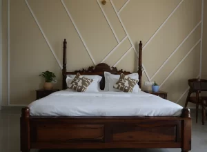 Boutique Villa in Udaipur